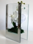 Preview: Design vase in polished glass incl. Orchid 11x18 cm from Formano
